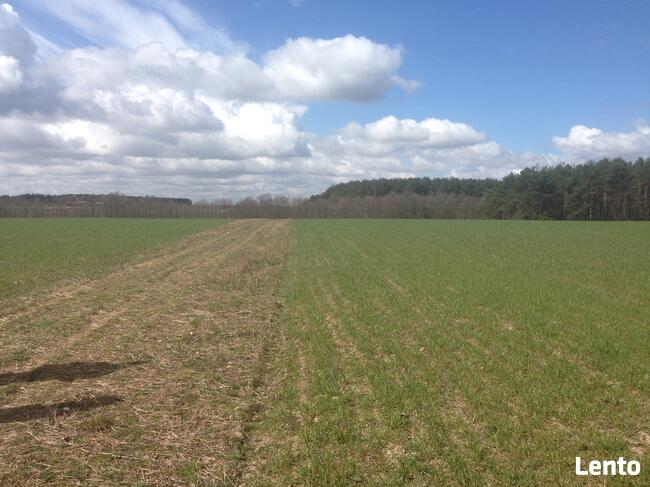 Bory Tucholskie z dostępem do jeziora! Stary Sumin Cekcyn