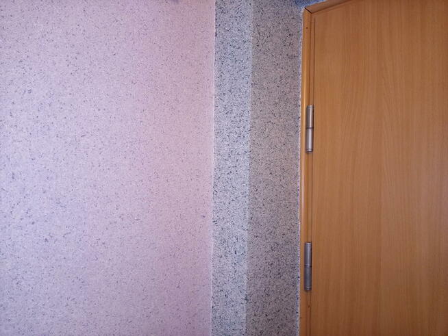 Tapety natryskowe W-wa Dialcolor od 55zł/m2 tel. 607-429-256