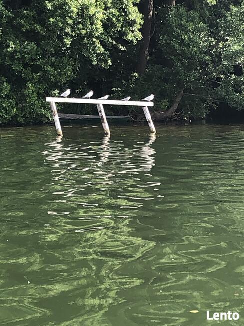 BORY TUCHOLSKIE- CEKCYN z dostępem do jeziora- gaz, prąd, kan.