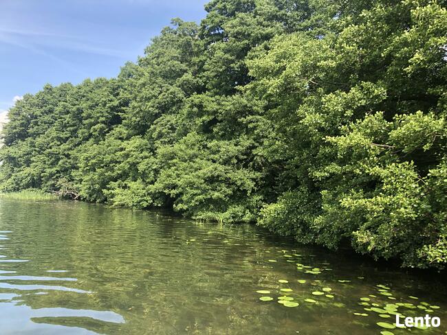BORY TUCHOLSKIE- CEKCYN z dostępem do jeziora- gaz, prąd, kan.