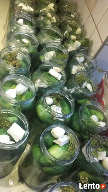 catering Gdańsk posiłki profilaktyczne