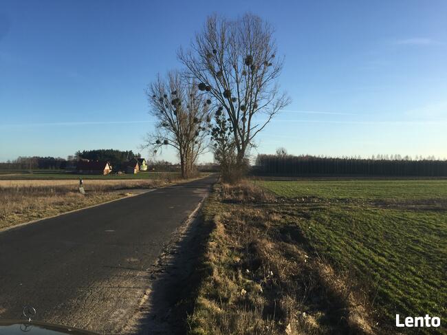 Bory Tucholskie z dostępem do jeziora! Stary Sumin Cekcyn