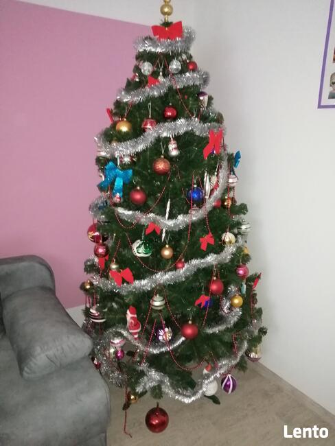 Sprzedam choinkę