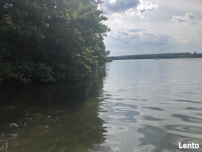 BORY TUCHOLSKIE- CEKCYN z dostępem do jeziora- gaz, prąd, kan.
