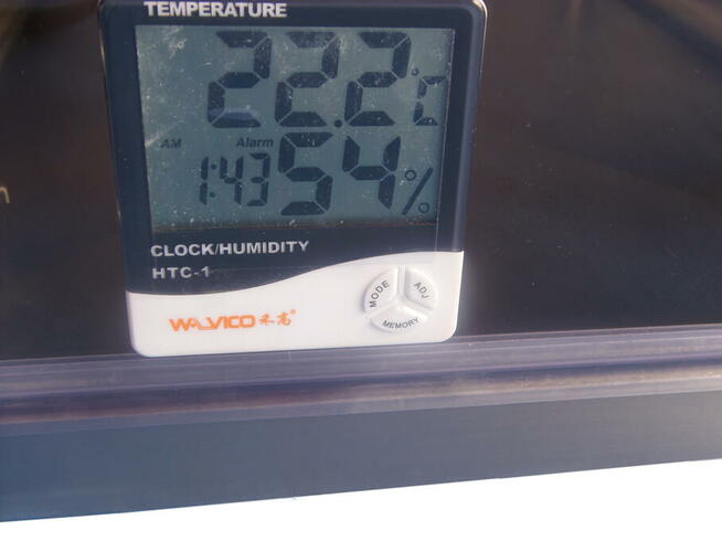 Klatka weterynaryjna do terapii tlenowej