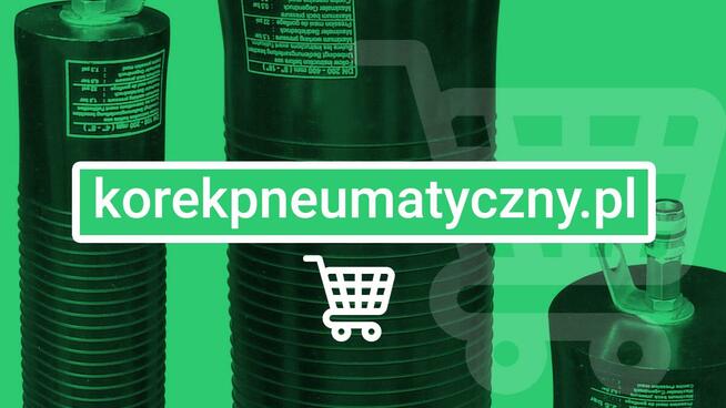 Korek pneumatyczny Korek uszczelniający DN 300-600