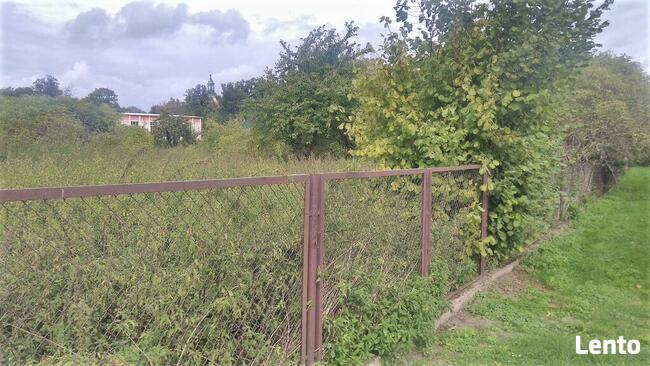 Dom z ogrodem Jaraczewo