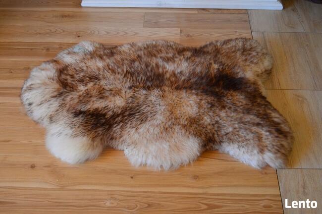 Skóra Owcza GIGANT 4 kolory Skóry Owcze Naturalne