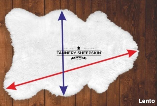 Skóra Owcza GIGANT 4 kolory Skóry Owcze Naturalne