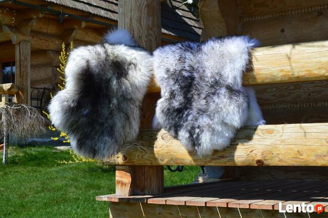 Skóra Owcza GIGANT 4 kolory Skóry Owcze Naturalne