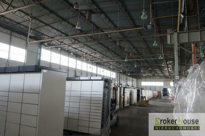 Lokal użytkowy Opole