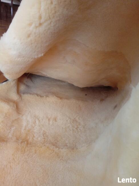 Śpiwór Naturalna Skóra Owcza Relugan+Poduszka Skóry Owcze