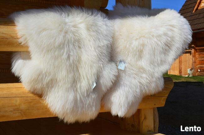 Skóra Owcza GIGANT 4 kolory Skóry Owcze Naturalne