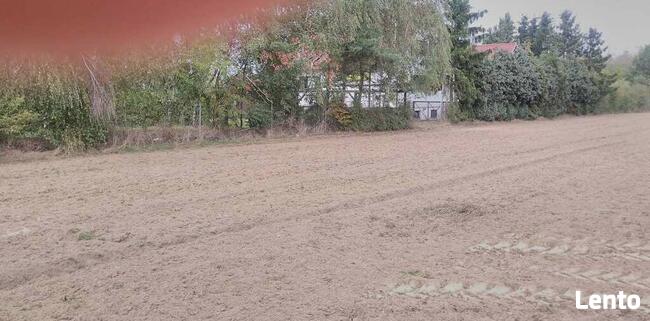 Sprzedam dużą działkę w Jaraczewie koło Jarocina.