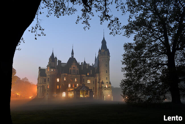 Apartament Premium Moszna