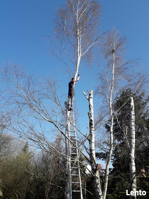 Karczowanie, czyszczenie działek , frezowanie pni !