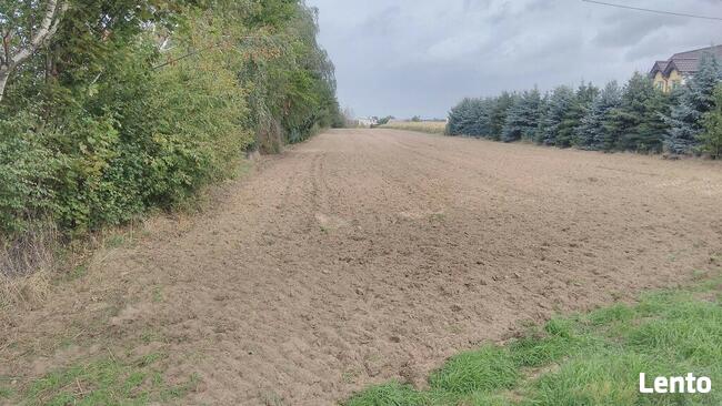Sprzedam dużą działkę w Jaraczewie koło Jarocina.