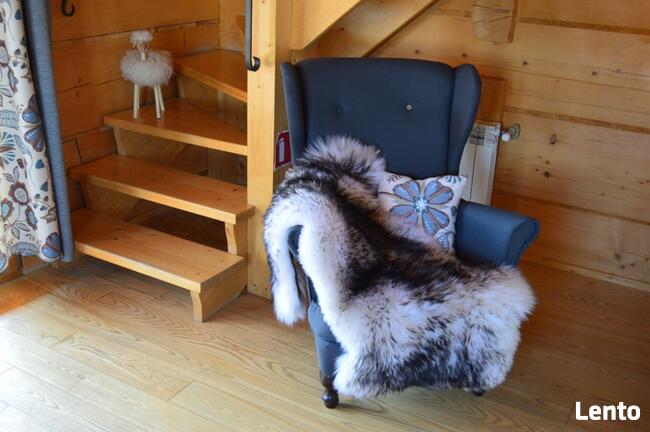 Skóra Owcza GIGANT 4 kolory Skóry Owcze Naturalne