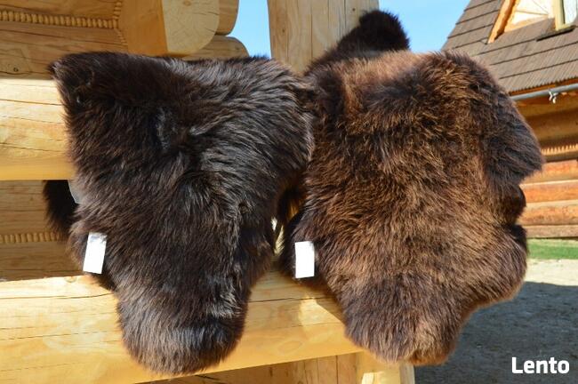 Skóra Owcza GIGANT 4 kolory Skóry Owcze Naturalne