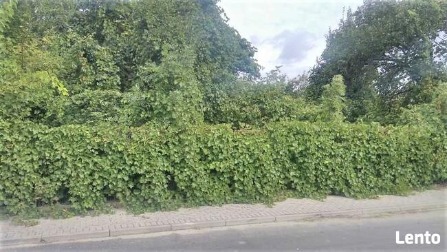 Dom z ogrodem Jaraczewo