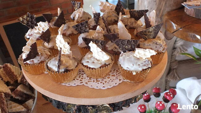 Wynajem drewnianych domów na końcu świata ok. Augustowa