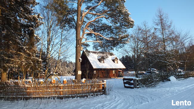 Wynajem drewnianych domów na końcu świata ok. Augustowa
