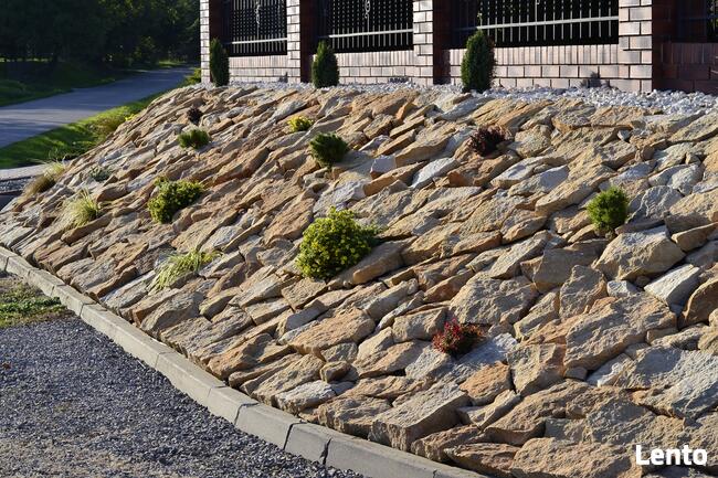 płaski naturalny żółty kamień ogrodowy