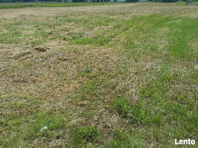 Działka przemysłowa Szymanów gm. Wisznia Mała