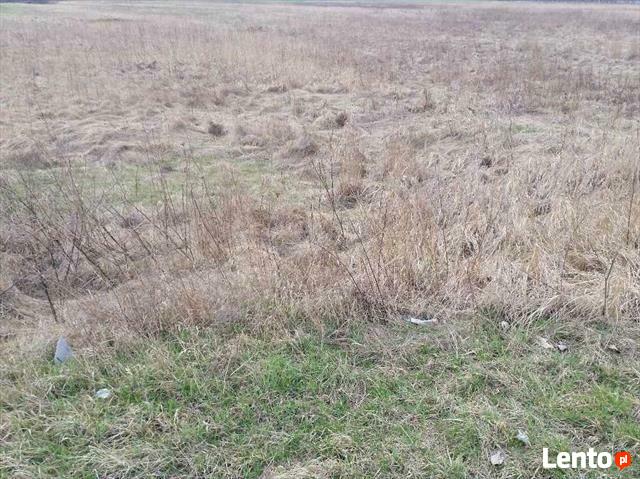 Działka przemysłowa Wrocław Psie Pole