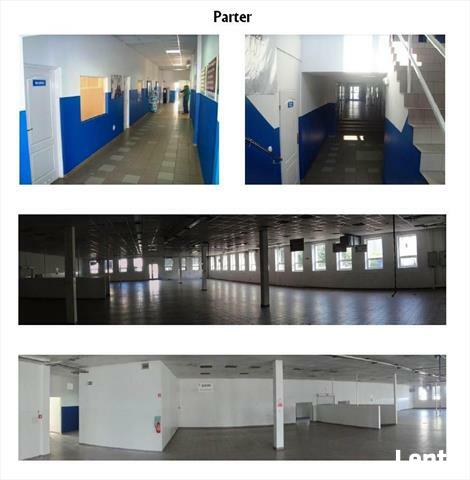 Lokal użytkowy gm. Oleśnica