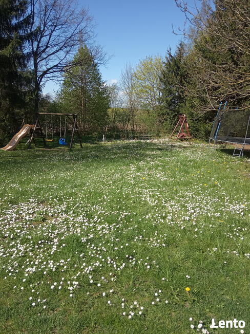 Mazurski dom wśród łąk. Pod Dębami. Wczasy, pokoje, agrotu