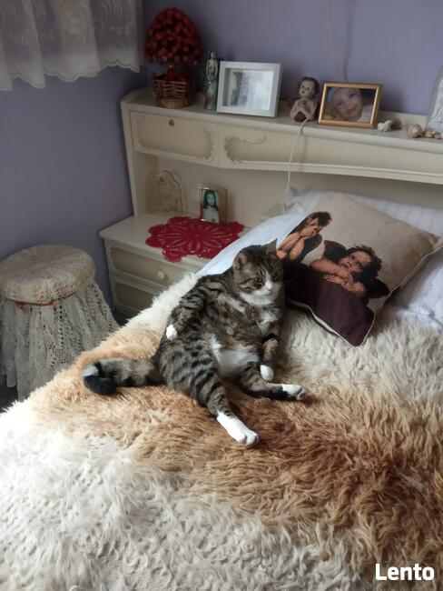 Mazurski dom wśród łąk. Pod Dębami. Wczasy, pokoje, agrotu