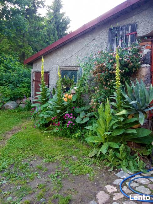 Mazurski dom wśród łąk. Pod Dębami. Wczasy, pokoje, agrotu