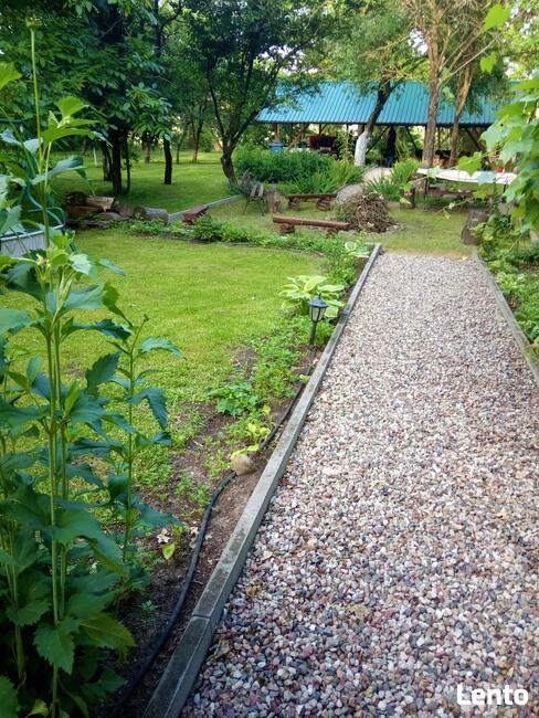 Mazurski dom wśród łąk. Pod Dębami. Wczasy, pokoje, agrotu