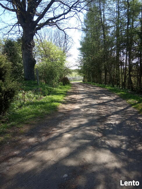 Mazurski dom wśród łąk. Pod Dębami. Wczasy, pokoje, agrotu