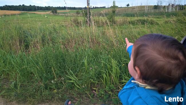 Mazurski dom wśród łąk. Pod Dębami. Wczasy, pokoje, agrotu