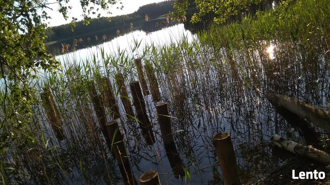 Mazurski dom wśród łąk. Pod Dębami. Wczasy, pokoje, agrotu