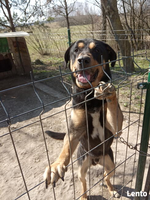 Mazurski dom wśród łąk. Pod Dębami. Wczasy, pokoje, agrotu
