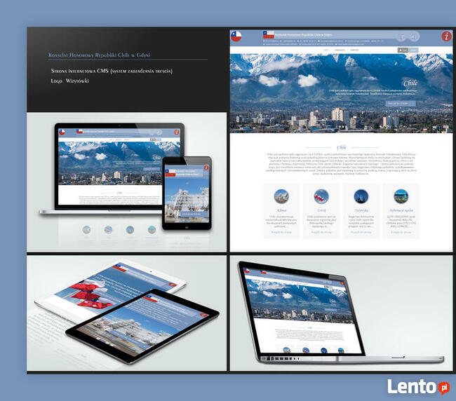 Strony, sklepy internetowe, projekty graficzne, prezentacje