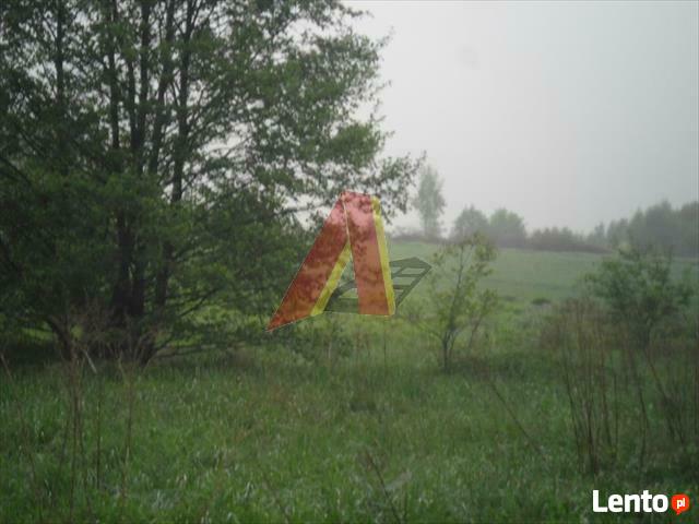 Działka rolna Modlnica gm. Wielka Wieś, Modlnica