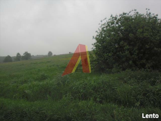Działka rolna Modlnica gm. Wielka Wieś, Modlnica