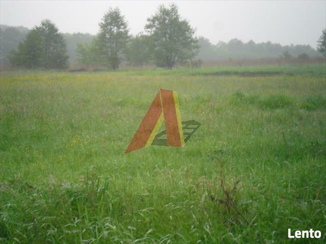 Działka rolna Modlnica gm. Wielka Wieś, Modlnica