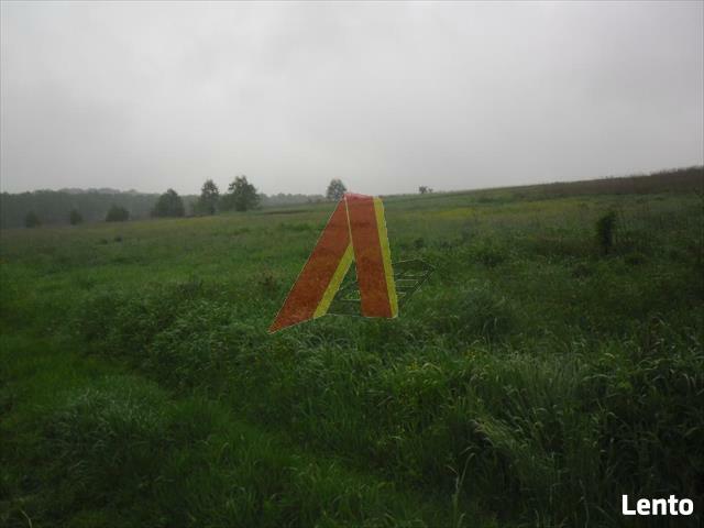Działka rolna Modlnica gm. Wielka Wieś, Modlnica