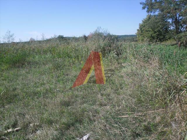 Działka rolna Kraków Podgórze, Skotniki, Unruga