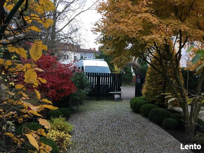 Praca w firmie ogrodniczej - ogrodnik