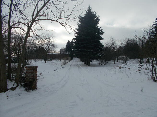 agroturystyka, usługi opiekuńcze(dzieci, senior),noclegi