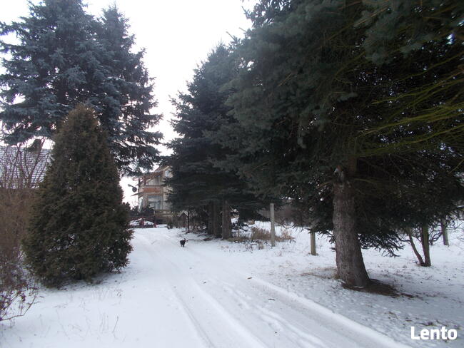 agroturystyka, usługi opiekuńcze(dzieci, senior),noclegi