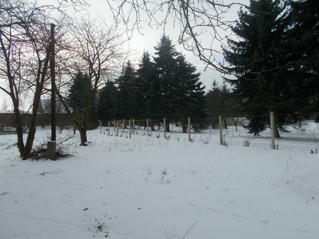 agroturystyka, usługi opiekuńcze(dzieci, senior),noclegi