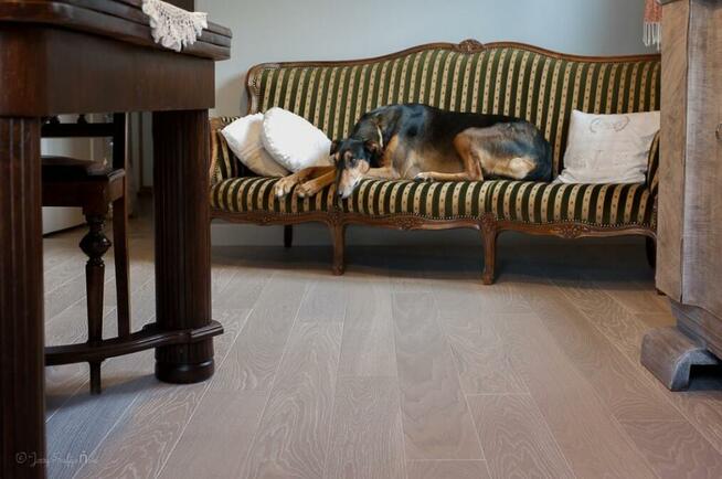 Finishdeska dąb Caffe Latte Kraków deska warstwowa