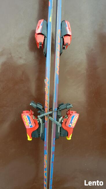 Narty Flex Control Head F5 180 cm